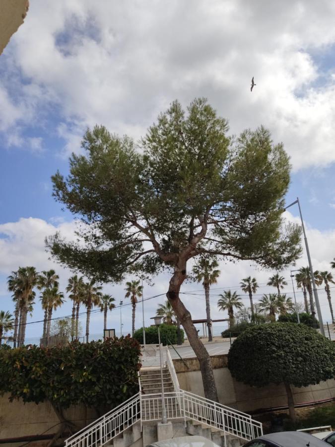 Apartamento Mare Nostrum Playa Arrabassada تاراغونا المظهر الخارجي الصورة